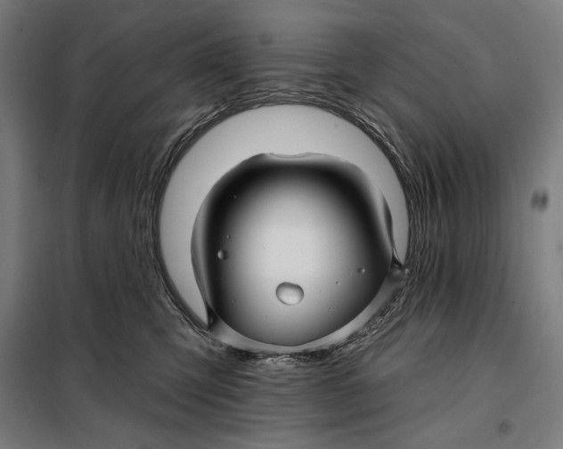 X0000097890423200804041315