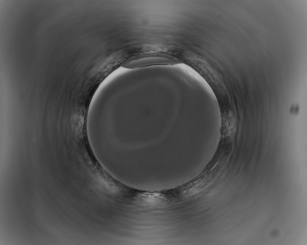 X0000097890427200804041314