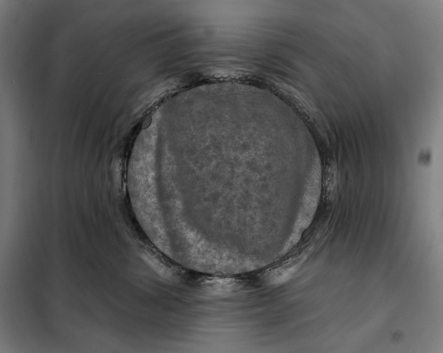 X0000097890428200804041314