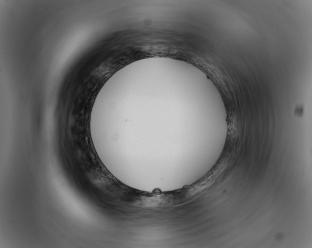 X0000097890430200804041314