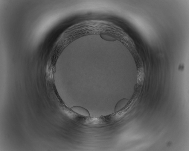 X0000097890431200804041314