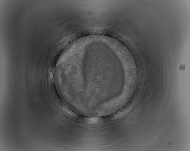 X0000097890432200804041314