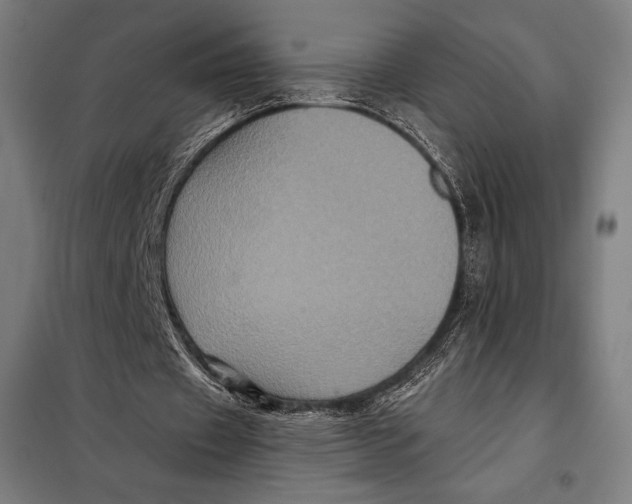 X0000097890433200804041314