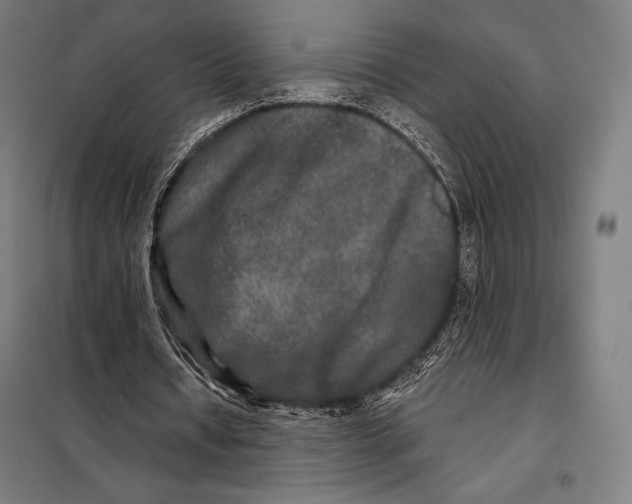 X0000097890434200804041314