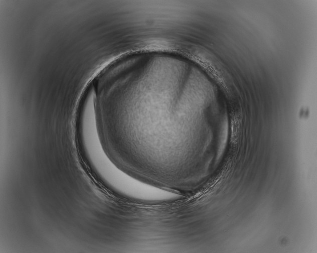 X0000097890436200804041314