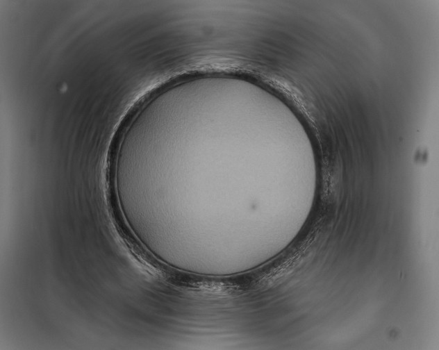 X0000097890439200804041314