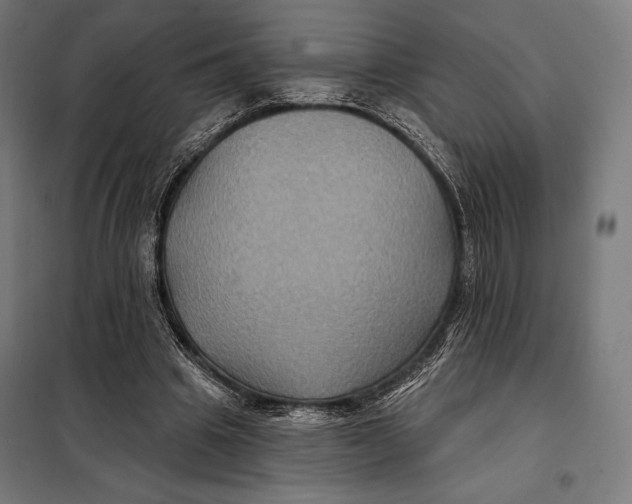 X0000097890441200804041314