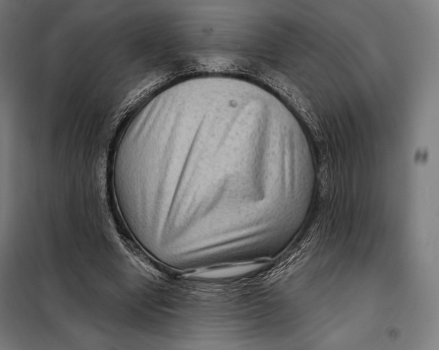 X0000097890442200804041314