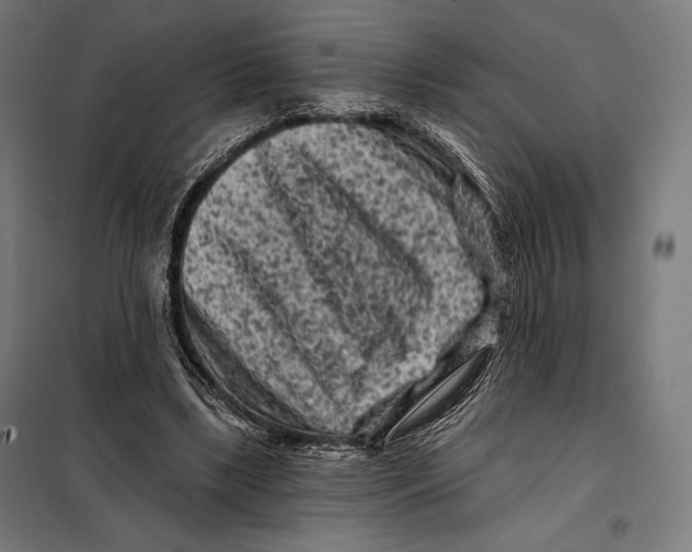 X0000097890443200804041314