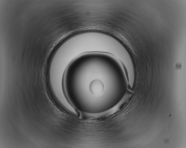 X0000097890444200804041314