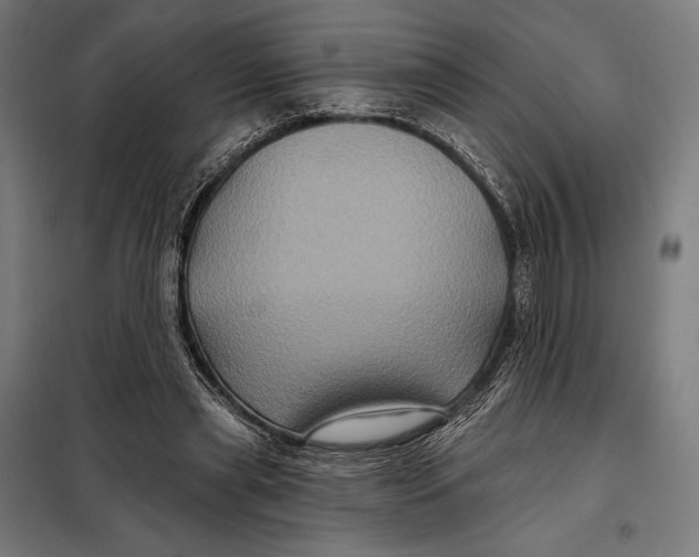 X0000097890445200804041314