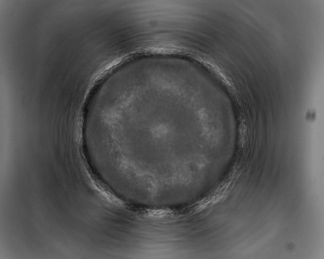 X0000097890446200804041314