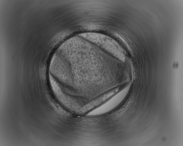 X0000097890447200804041314