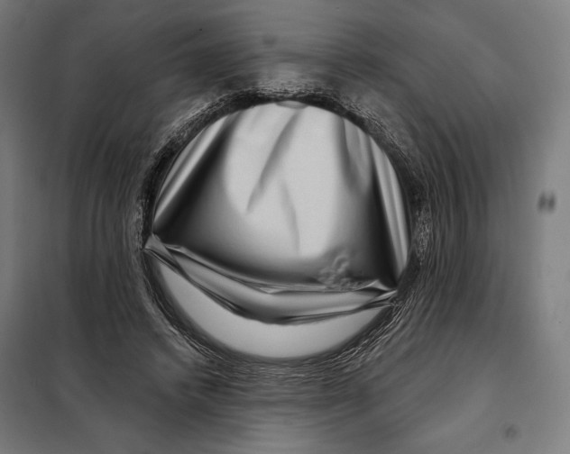 X0000097890448200804041314