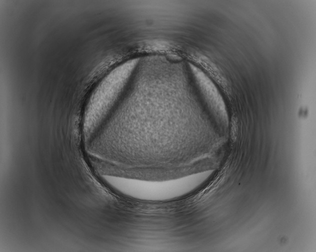 X0000097890449200804041314