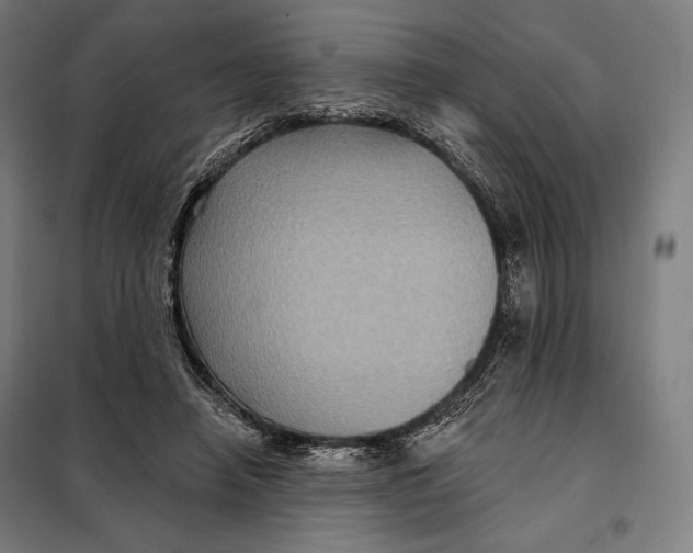 X0000097890450200804041314