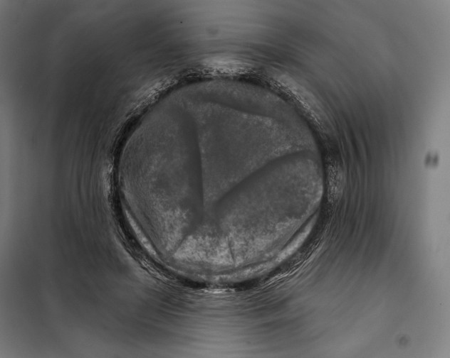 X0000097890451200804041314