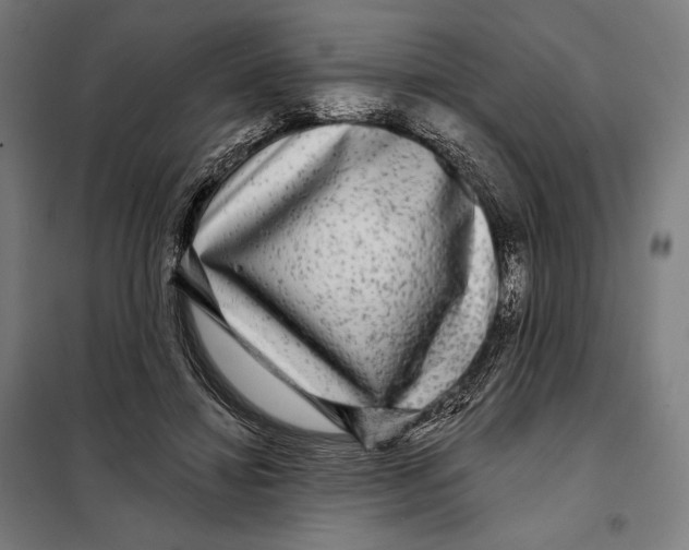 X0000097890452200804041314