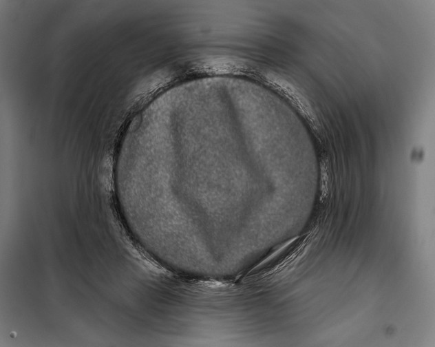 X0000097890453200804041314