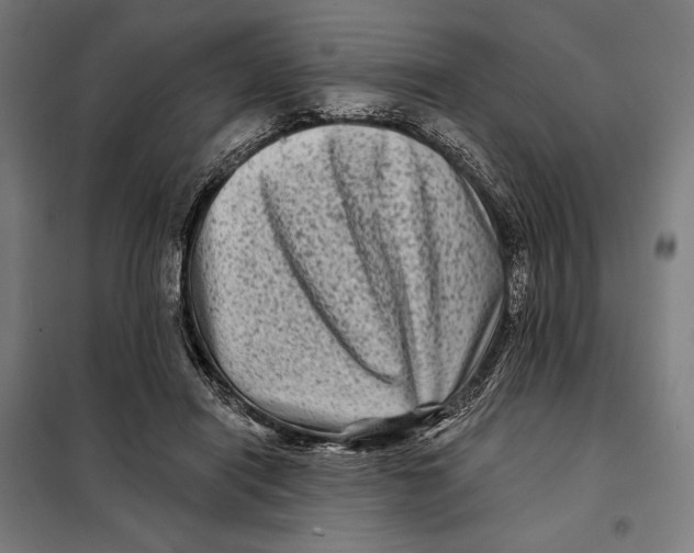 X0000097890454200804041314