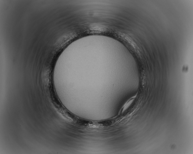 X0000097890455200804041314