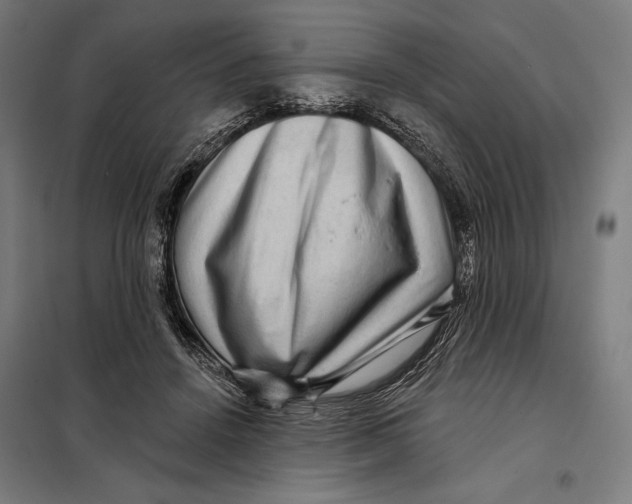 X0000097890456200804041314