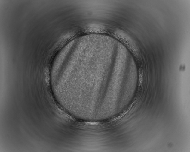 X0000097890457200804041314