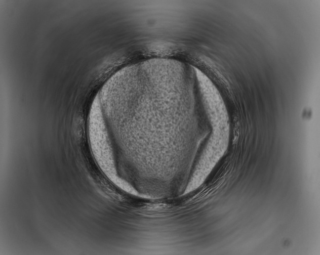 X0000097890459200804041314