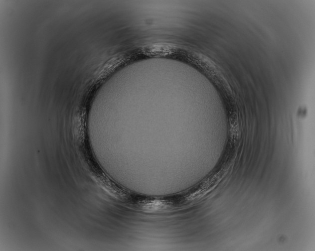 X0000097890460200804041314