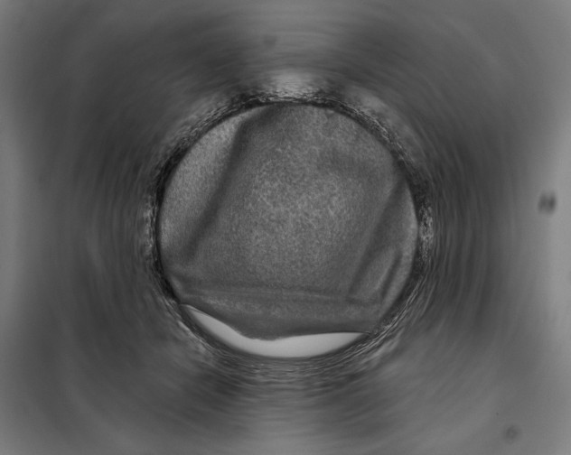 X0000097890462200804041314