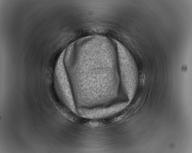 X0000097890464200804041314