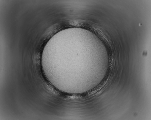 X0000097890466200804041314