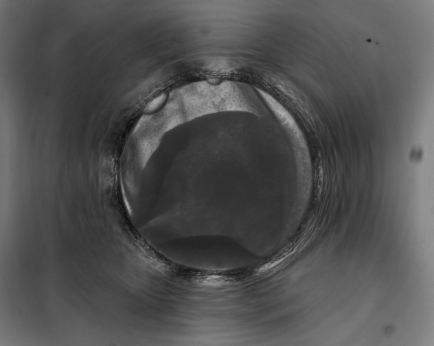 X0000097890467200804041314