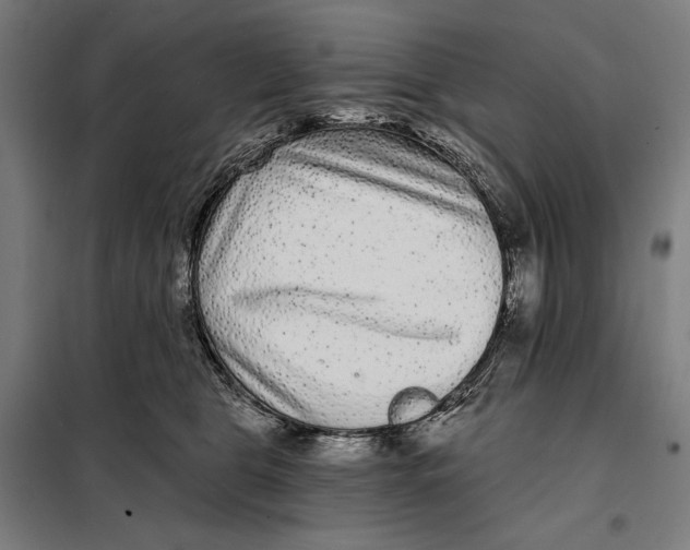 X0000097890469200804041314