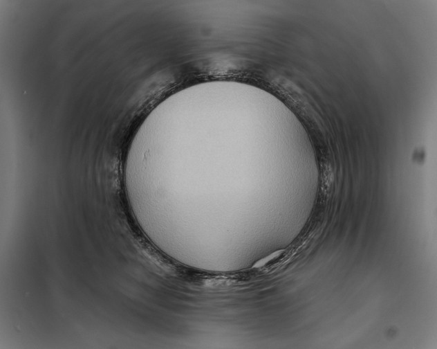 X0000097890470200804041314