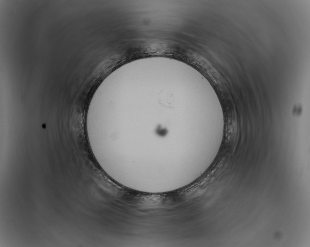 X0000097890473200804041314