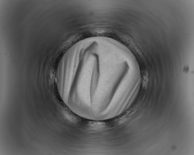 X0000097890476200804041314