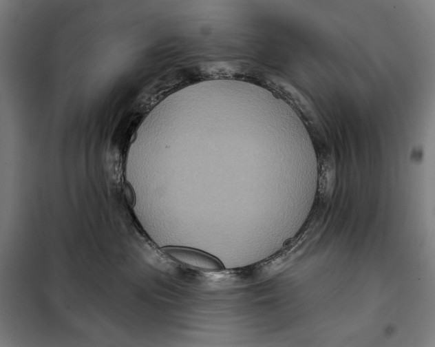 X0000097890477200804041314