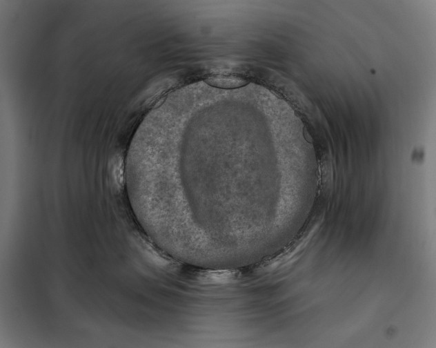 X0000097890479200804041314