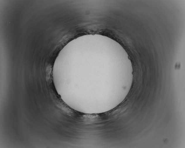 X0000097890480200804041314