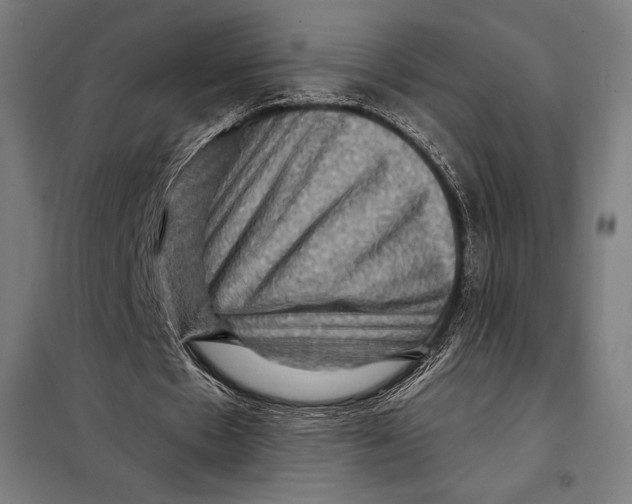 X0000097890481200804041314