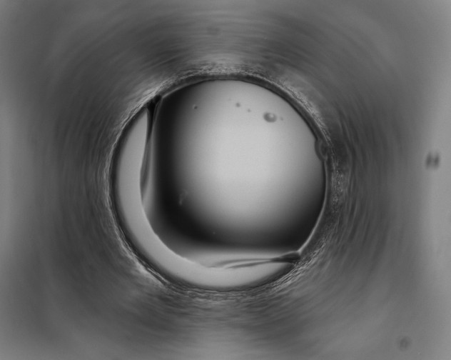 X0000097890485200804041314