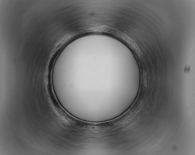 X0000097890486200804041313