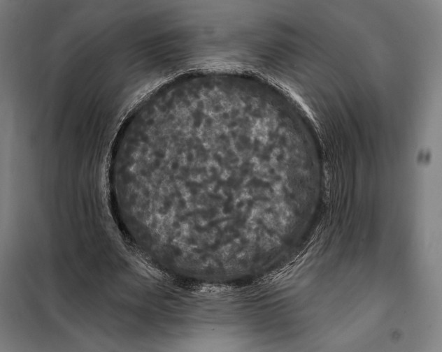 X0000097890487200804041313