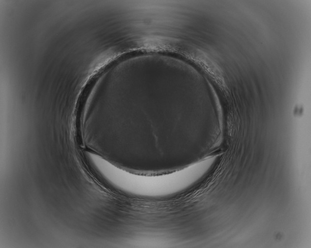 X0000097890488200804041313