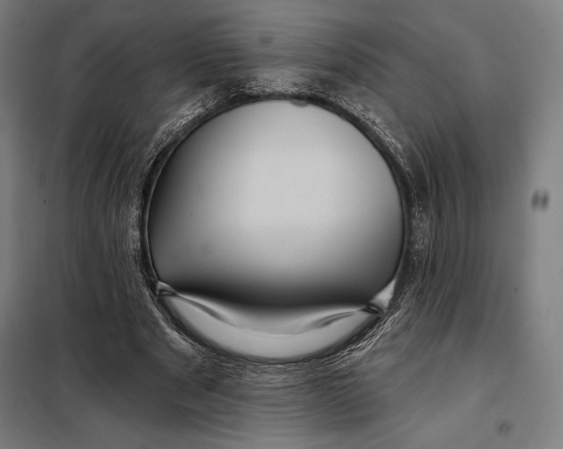 X0000097890489200804041313