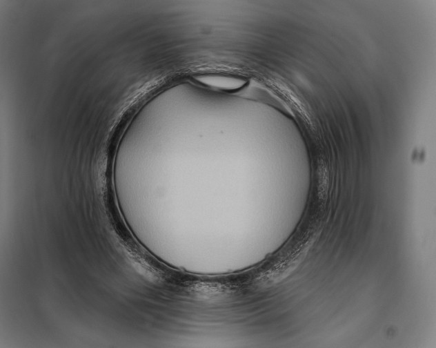 X0000097890490200804041313