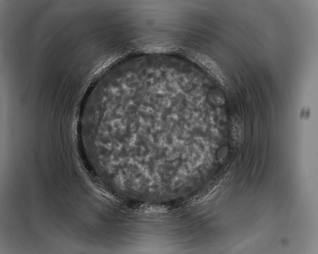 X0000097890491200804041313