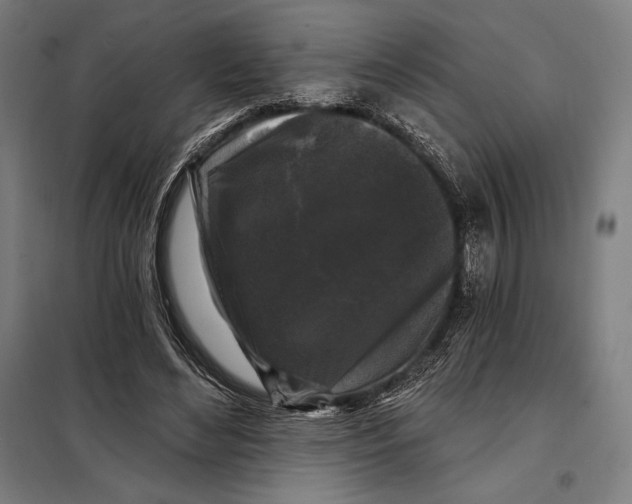 X0000097890492200804041313