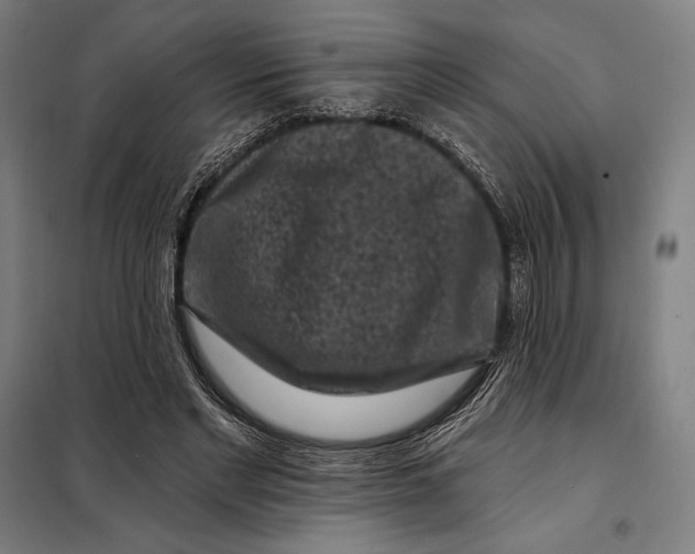 X0000097890493200804041313